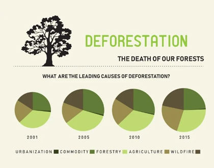 Leading causes of deforestation Leading causes of deforestation