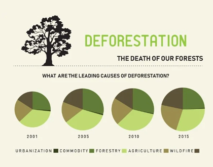 Leading causes of deforestation 
