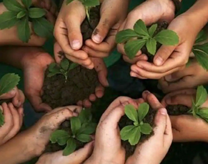 The Free thought project The Free thought project